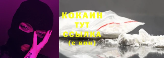 дживик Баксан