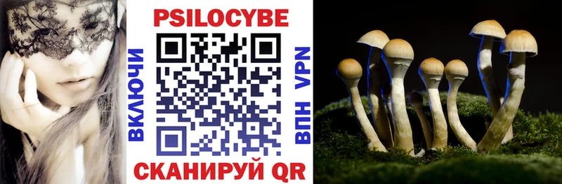 что такое   Онега  Псилоцибиновые грибы Psilocybine cubensis 